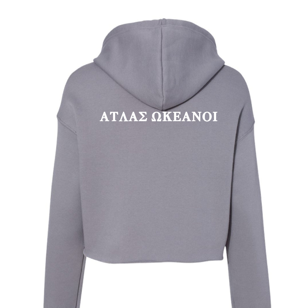 Atlas Oceans Half Chill Origin Hoodie · Dusk Grey · Back