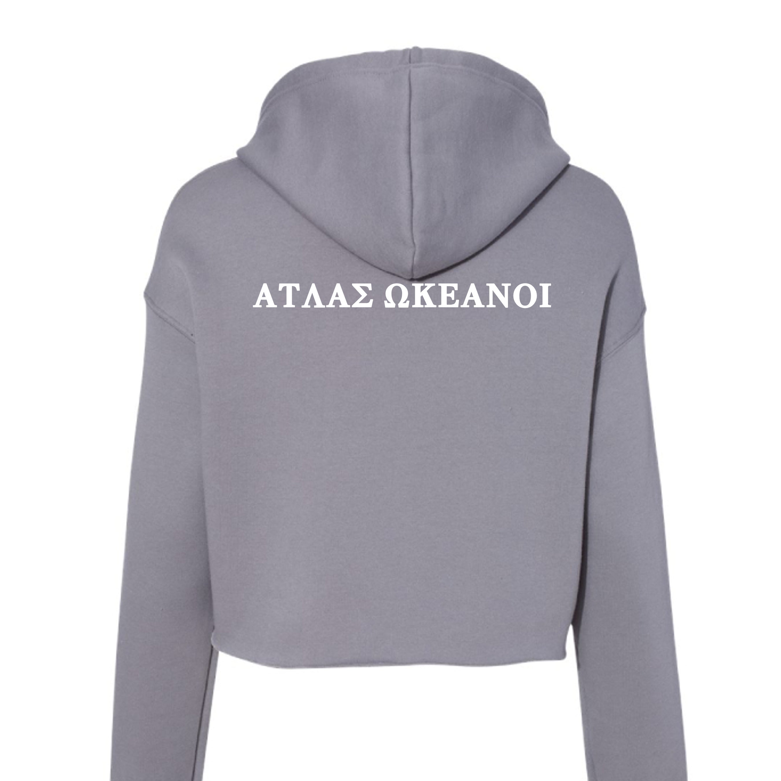 Atlas Oceans Half Chill Origin Hoodie · Dusk Grey · Back