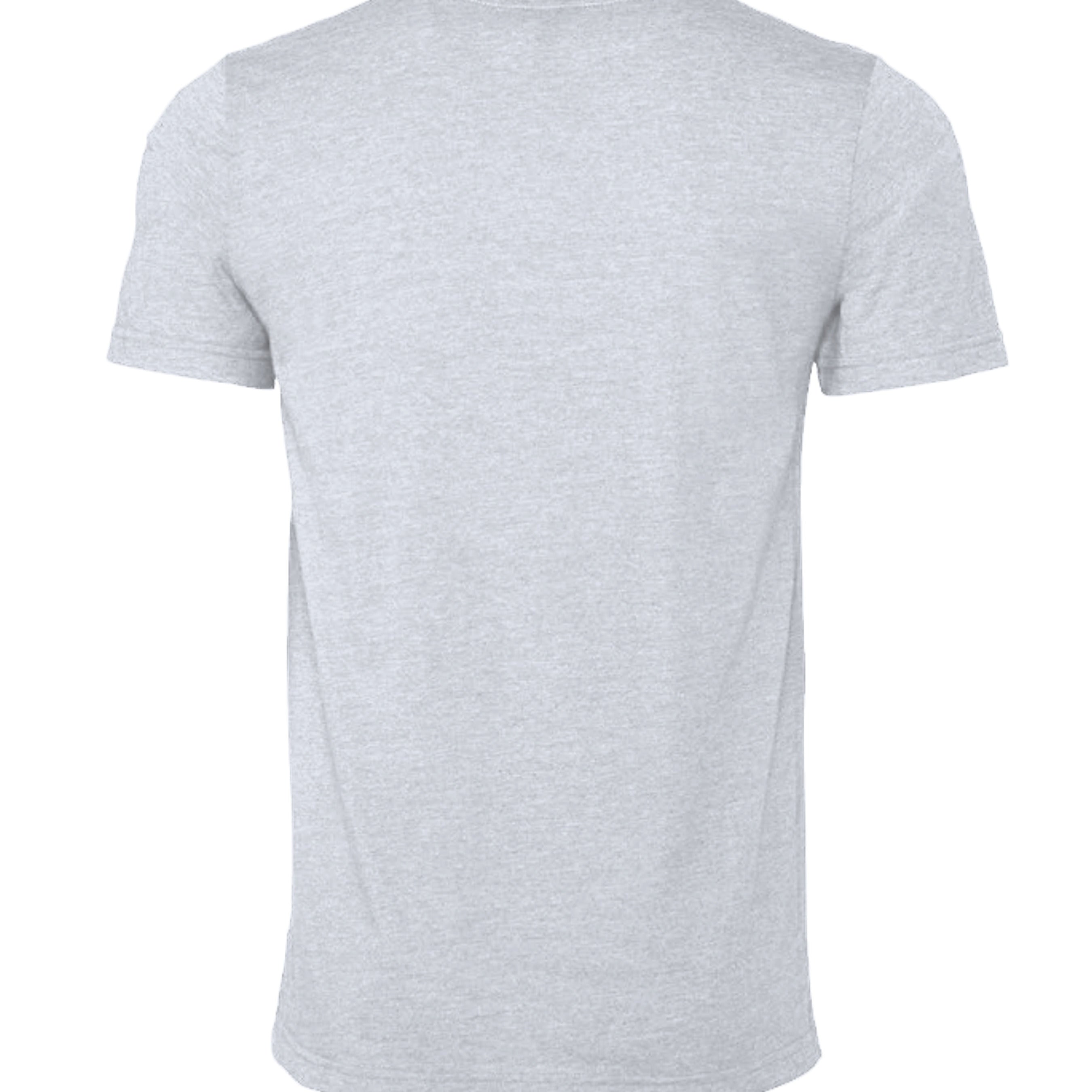 Atlas Oceans Neutral Tee · Sea Mist · Back