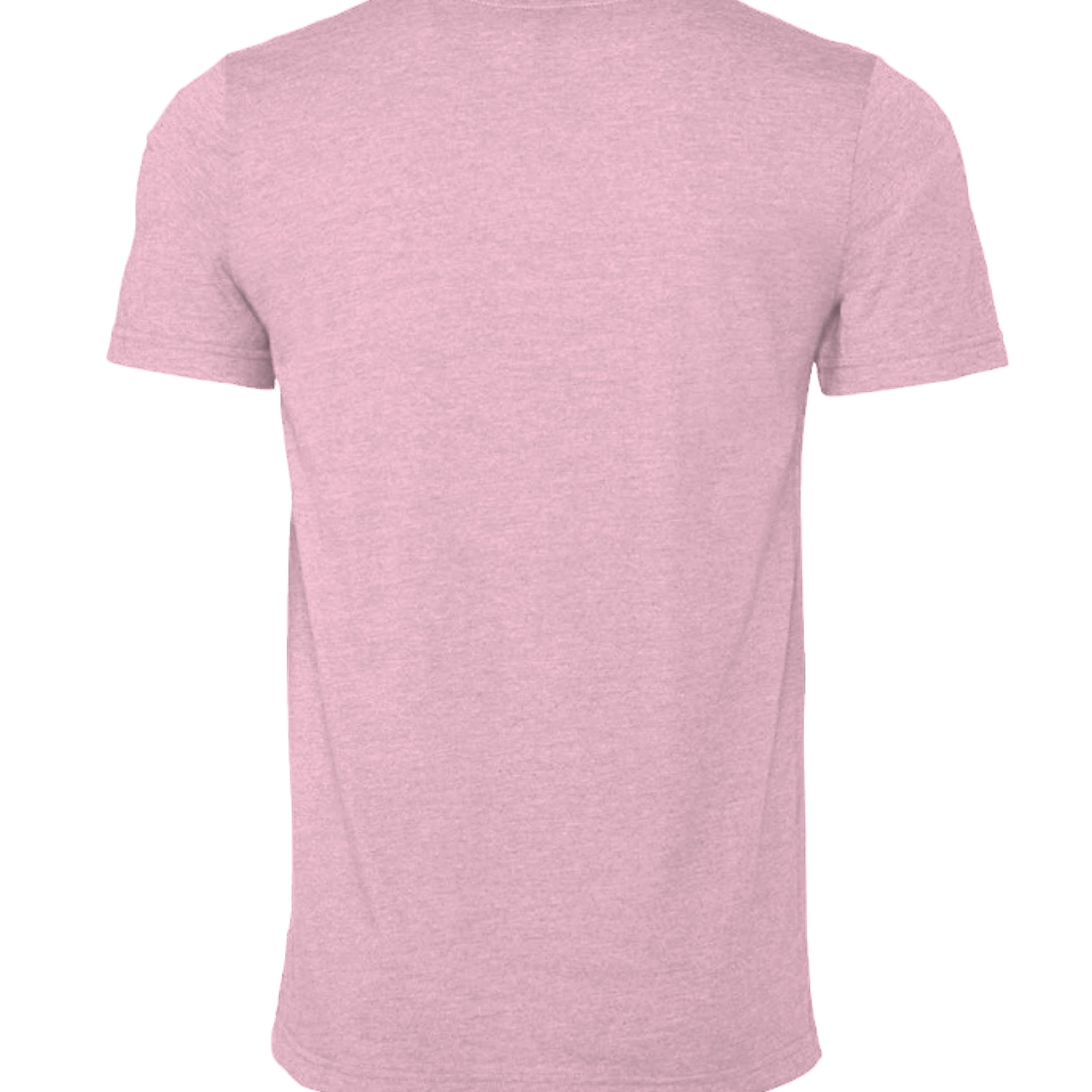 Atlas Oceans Neutral Tee · Coral Blush · Back
