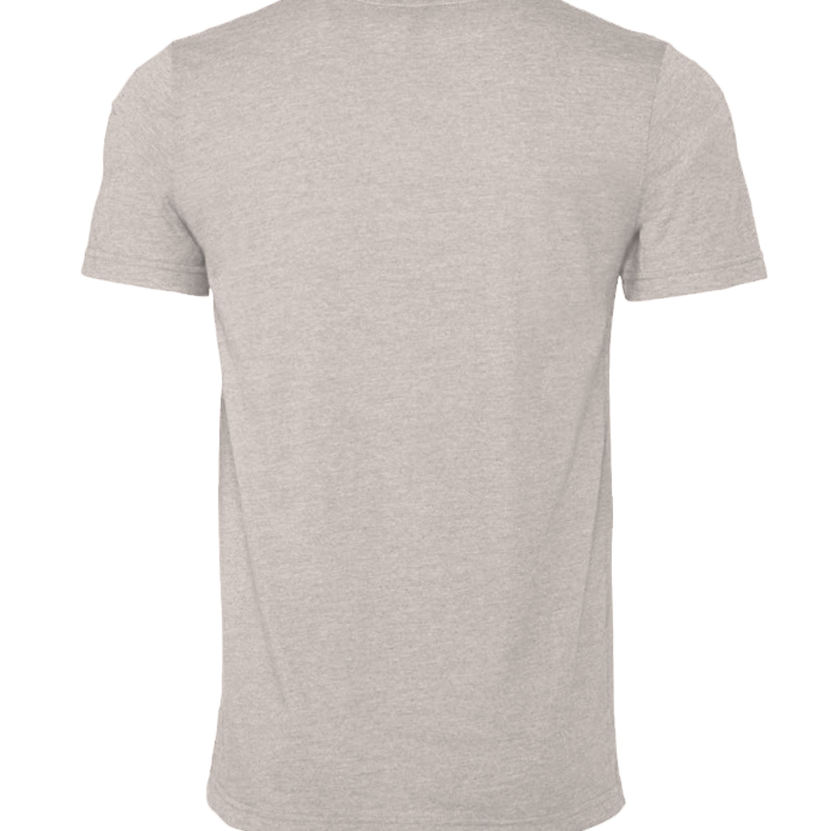 Atlas Oceans Neutral Tee · Tide Mist · Back