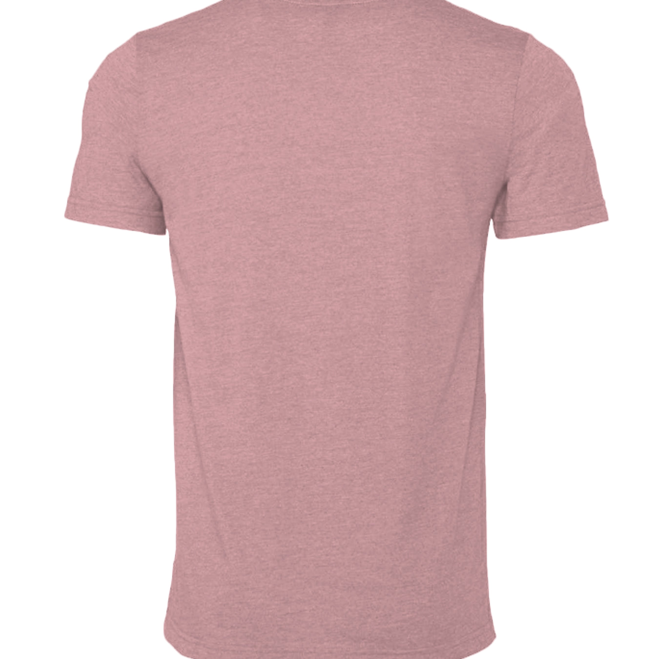 Atlas Oceans Neutral Tee · Pebble Shore · Back