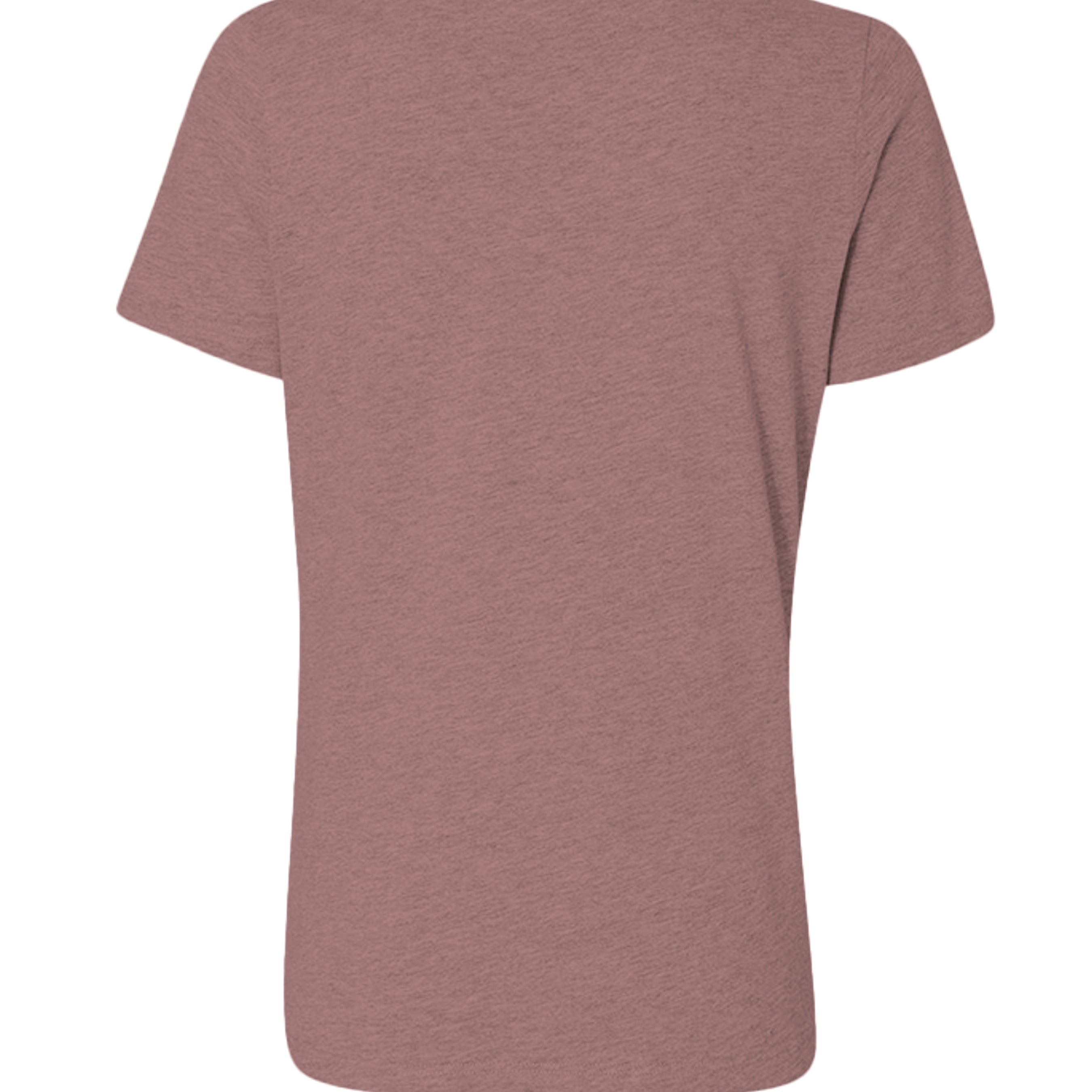 Atlas Oceans Brie V Tee · Blush Tide · Back
